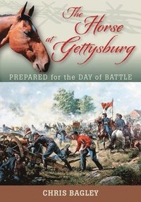 bokomslag The Horse at Gettysburg