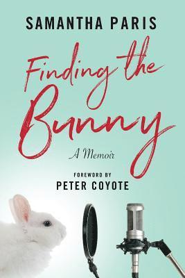 Finding the Bunny 1