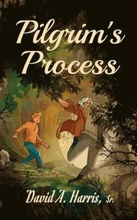 bokomslag Pilgrim's Process