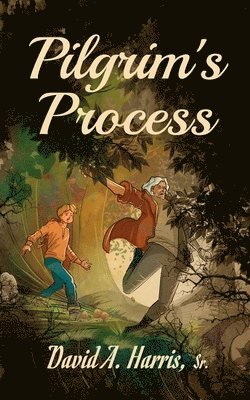 Pilgrim's Process 1