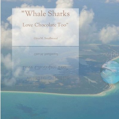 Whale Sharks Love Chocolate Too 1