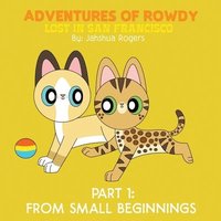 bokomslag Adventures of Rowdy: Lost in San Francisco - Part 1: From Small Beginnings