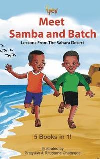 bokomslag Samba and Batch: Lessons From The Sahara Desert
