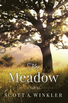 The Meadow 1