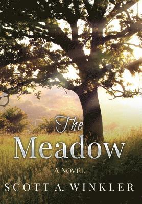 The Meadow 1