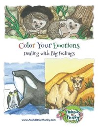 bokomslag Color Your Emotions