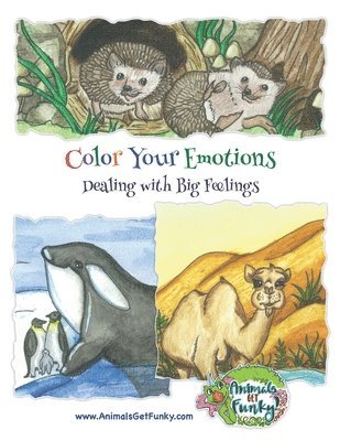 bokomslag Color Your Emotions
