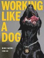 Nicole Ellis, Brandise Danesewich - Working Like A Dog, Inbunden