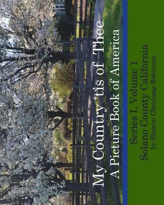 bokomslag My Country 'tis of Thee: A Picture Book of Our America - Solano County California