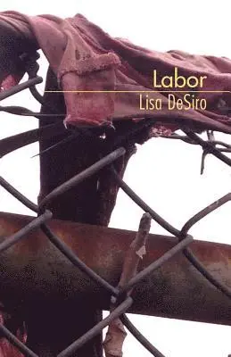 Lisa Desiro - Labor, Häftad. Tillgänglighet: Lägg i varukorg