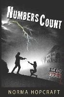 bokomslag Numbers Count: A Tricia Maguire romantic novel of suspense