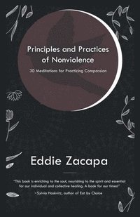 bokomslag Principles and Practices of Nonviolence