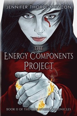 bokomslag The Energy Components Project: Book Two of the Time Sphere Chronicles