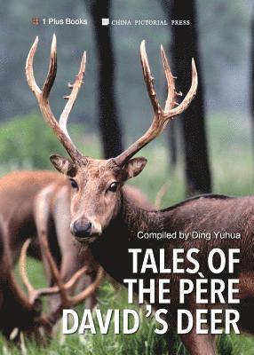 bokomslag Tales of the Père David's Deer