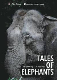 bokomslag Tales of Elephans