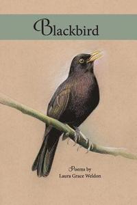 bokomslag Blackbird: poems