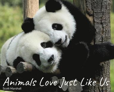 bokomslag Animals Love Just Like Us