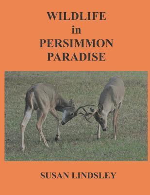 Wildlife in Persimmon Paradise 1