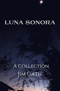 bokomslag Luna Sonora
