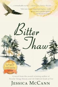 bokomslag Bitter Thaw