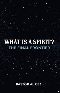 bokomslag What is a Spirit? The Final Frontier