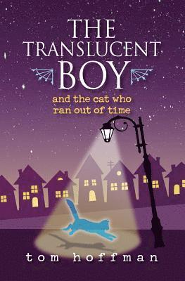 Translucent Boy and the Cat Who Ran Out of Time