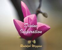 bokomslag Divine Inspiration