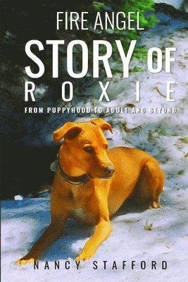 bokomslag Fire Angel Story of Roxie: From Puppyhood to Adult and Beyond