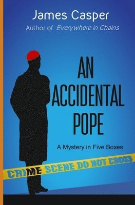 bokomslag Accidental Pope