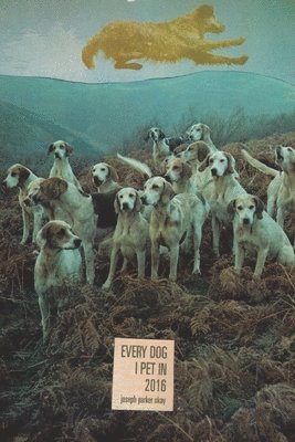 Joseph Parker Okay - every dog i pet in 2016, Häftad. Tillgänglighet: Lägg i varukorg