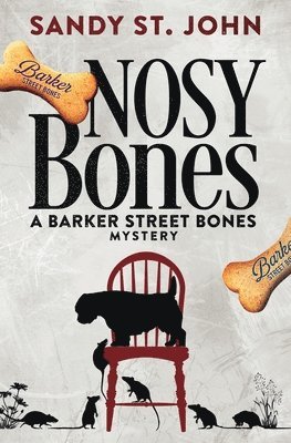 bokomslag Nosy Bones