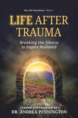 bokomslag Life After Trauma