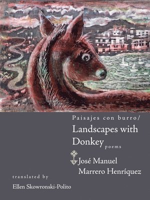 bokomslag Landscapes with Donkey