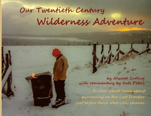 Our Twentieth Century Wilderness Adventure, Häftad