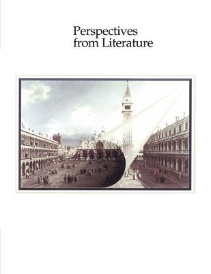 bokomslag Perspectives in Literature