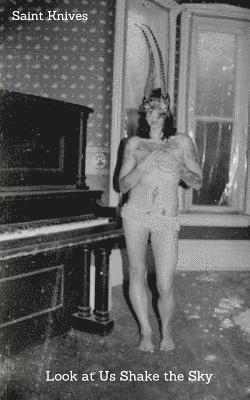 Look At Us Shake The Sky