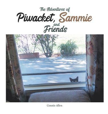 The Adventures of Piwacket, Sammie and Friends 1