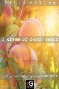 bokomslag i dream of peach seeds
