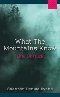 bokomslag What the Mountains Know: Life, Unstuck