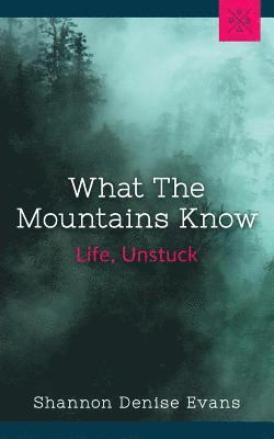 What the Mountains Know: Life, Unstuck 1