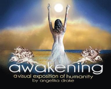 bokomslag Awakening