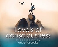 bokomslag Levels of Consciousness