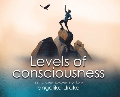 Levels of Consciousness 1