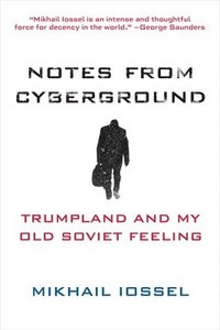 bokomslag Notes From Cyberground