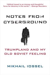 bokomslag Notes from Cyberground
