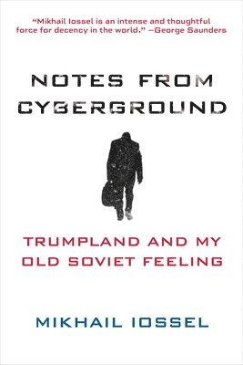 bokomslag Notes from Cyberground