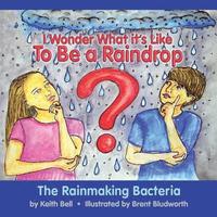 bokomslag I Wonder What it's Like To Be a Raindrop: The Rainmaking Bacteria