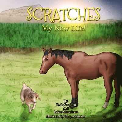 Scratches 1