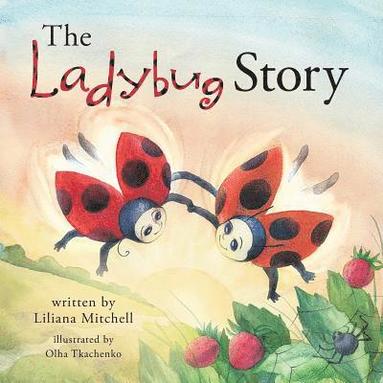 bokomslag The Ladybug Story