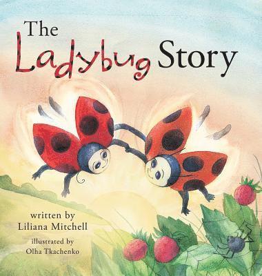 bokomslag The Ladybug Story